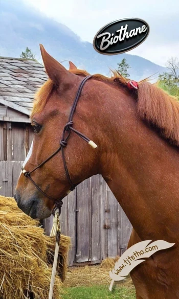 Licol en Biothane ND