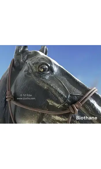 Licol side sans nœud d'attache en Biotha