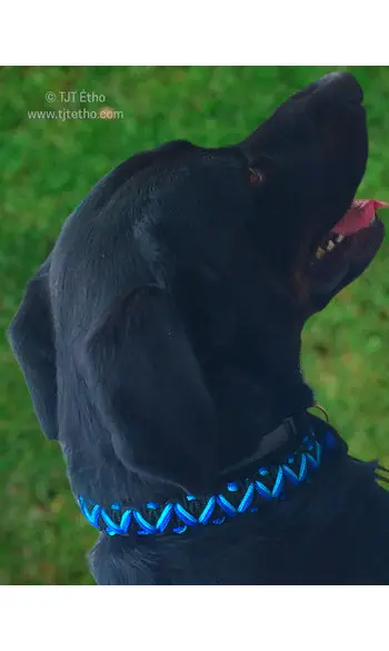 Collier large corde/biothane