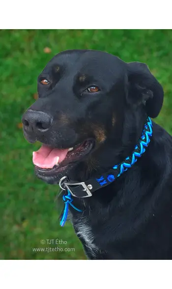 Collier large corde/biothane