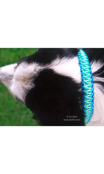 Collier large corde/biothane