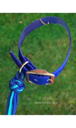 Collier biothane 13 mm