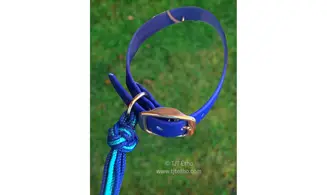 Collier biothane 19 mm