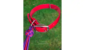 Collier biothane 19 mm