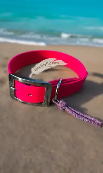 Collier biothane 25 mm