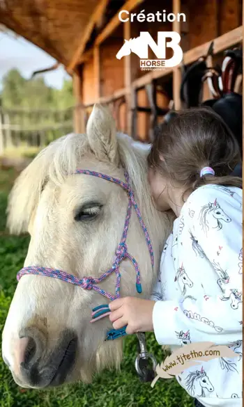 Licol NB Horse development