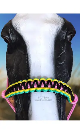 Tressage Macramé Bis