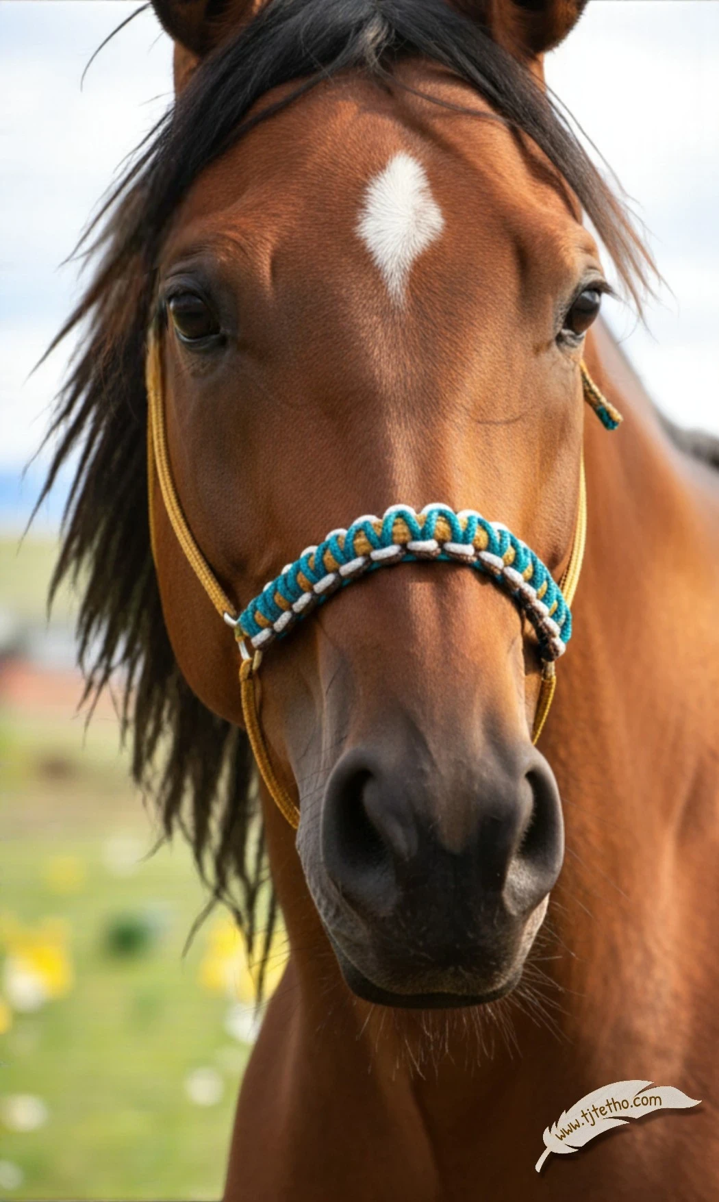 Tressage Macramé Bis