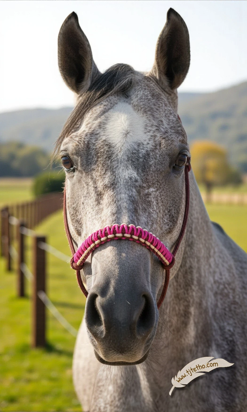 Tressage Macramé Bis