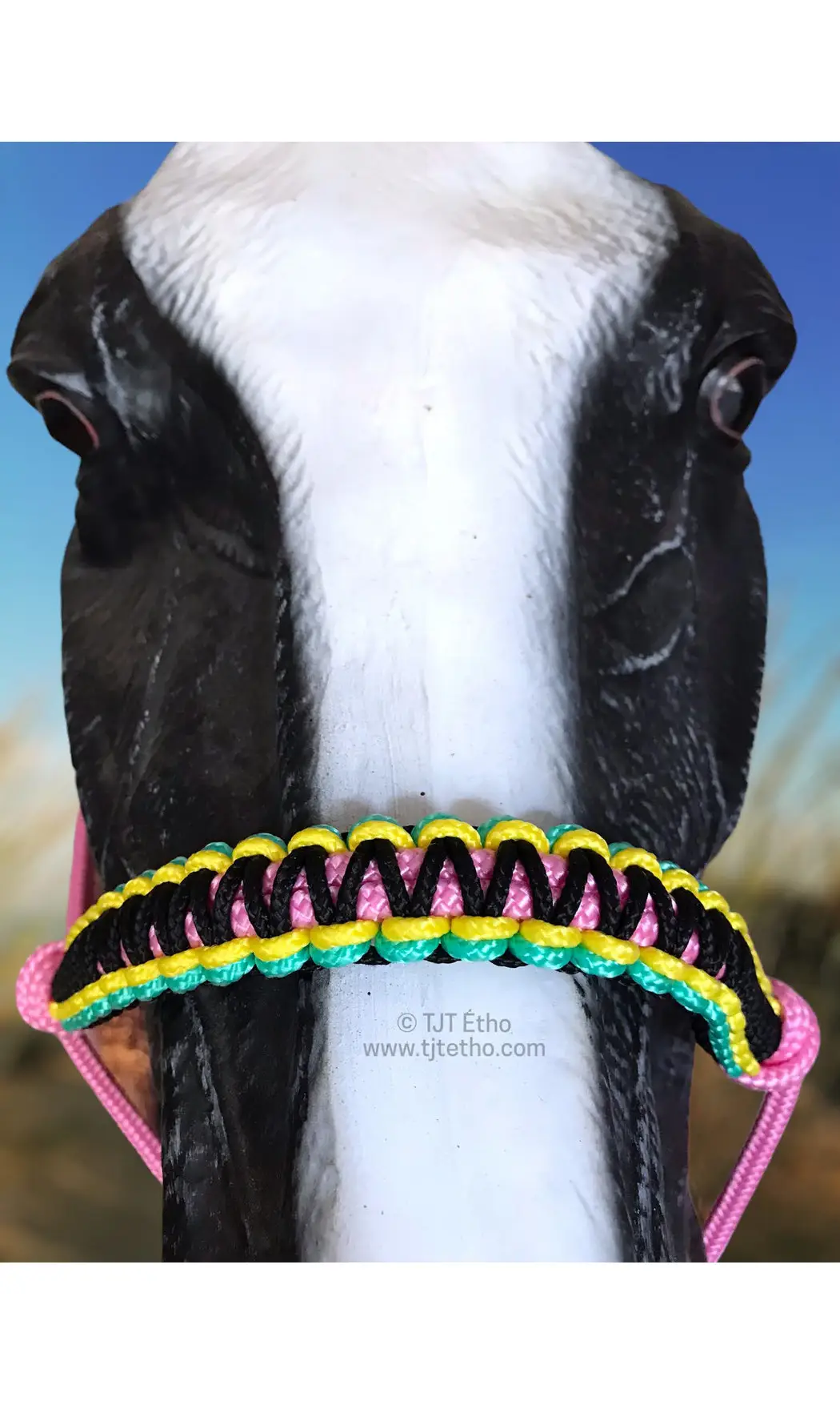 Tressage Macramé Bis