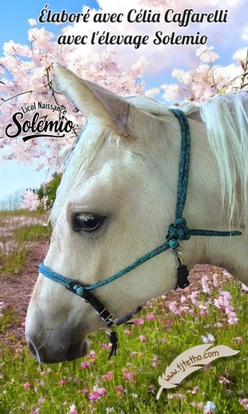 Licol Evolutif naissance Solemio