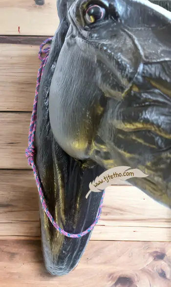 Collier d'encolure réglable Pro