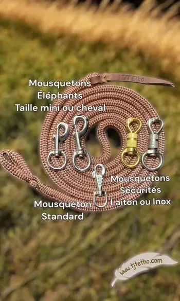 Longe Pro de 3,70m en 14mm