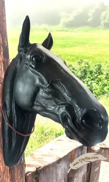 Collier d'encolure réglable