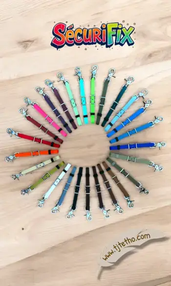SécuriFix