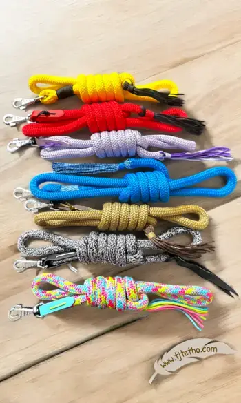 Longe standard 2 m en 14mm