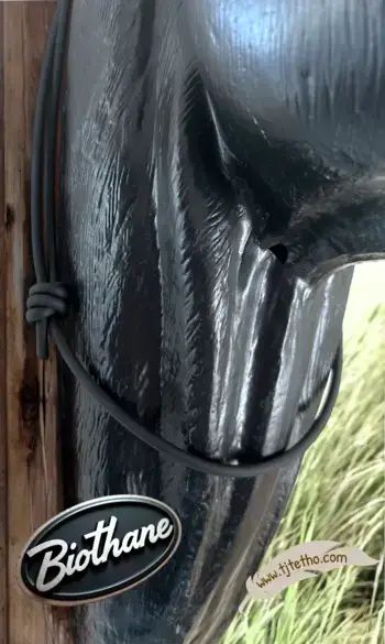 Collier encolure en Biothane réglable