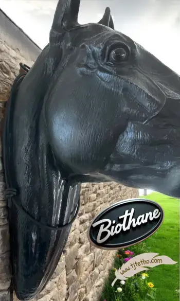 Collier encolure en Biothane réglable