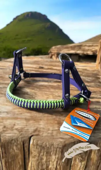 Stock Muserolle side pull Aïnara