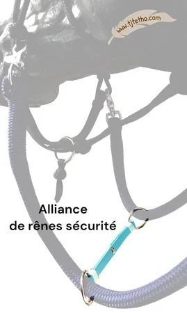 Alliance de rêne