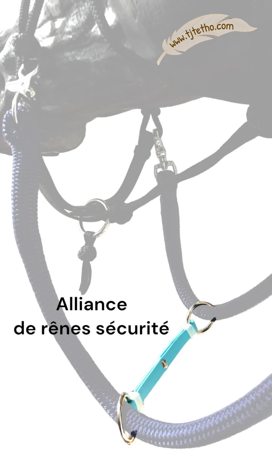 Alliance de rêne
