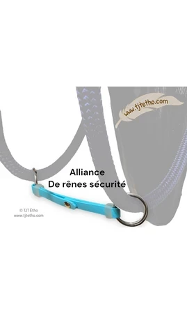 Alliance de rêne