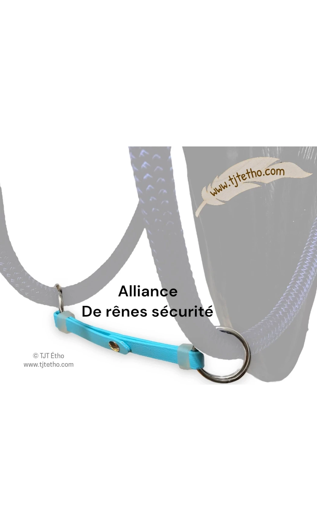 Alliance de rêne