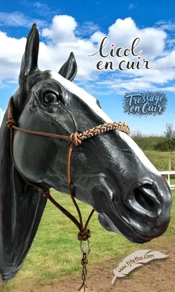 Licol en cuir tressé ND à anneau