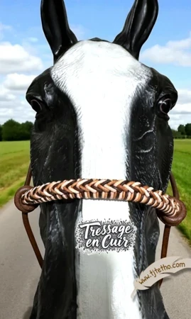 Licol en cuir ND à anneau