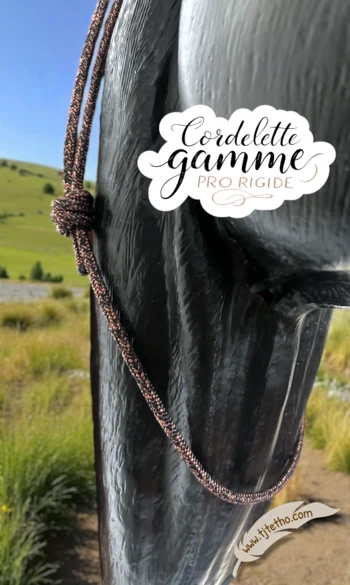 Collier d'encolure réglable rigide pro