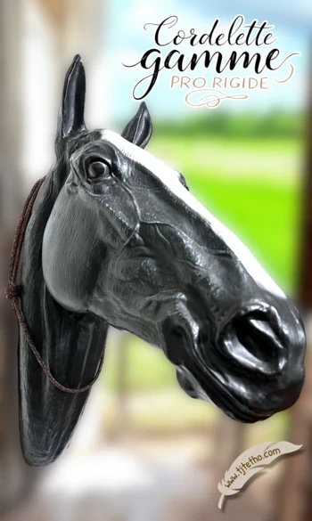 Collier d'encolure réglable rigide pro