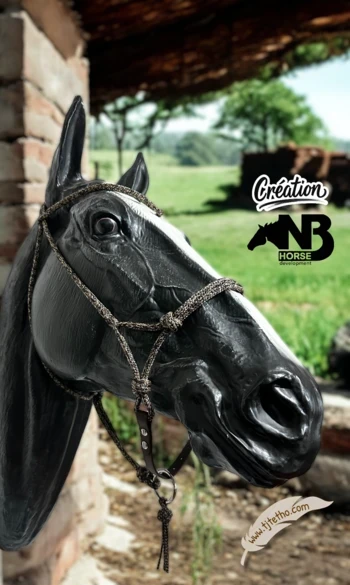 Licol NB Horse development