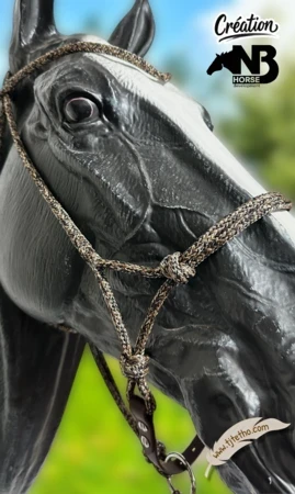 Licol NB Horse development