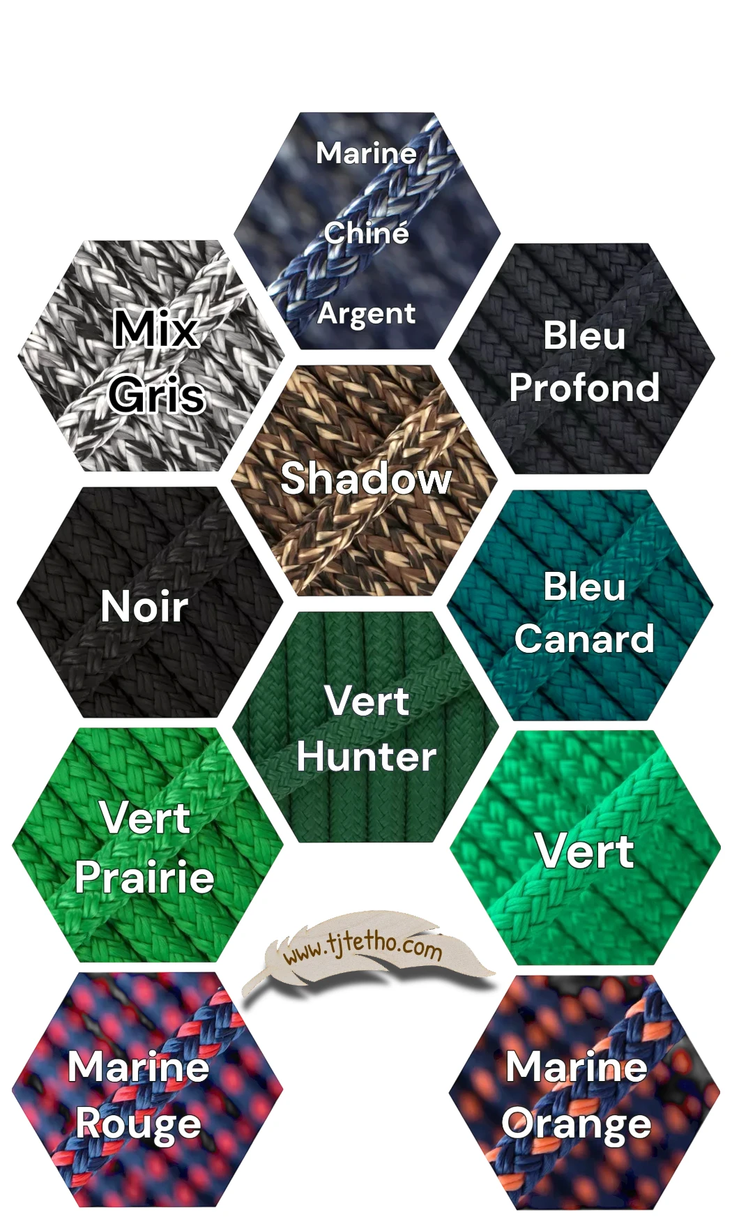 Licol NB Horse development