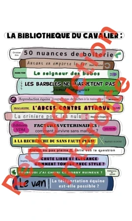 T-shirt B: La bibliothèque du cavalier !