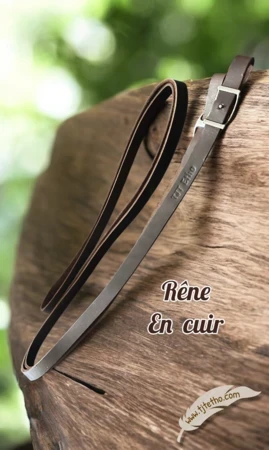 Rênes fermées cuir vachette huilé 3 à 4m
