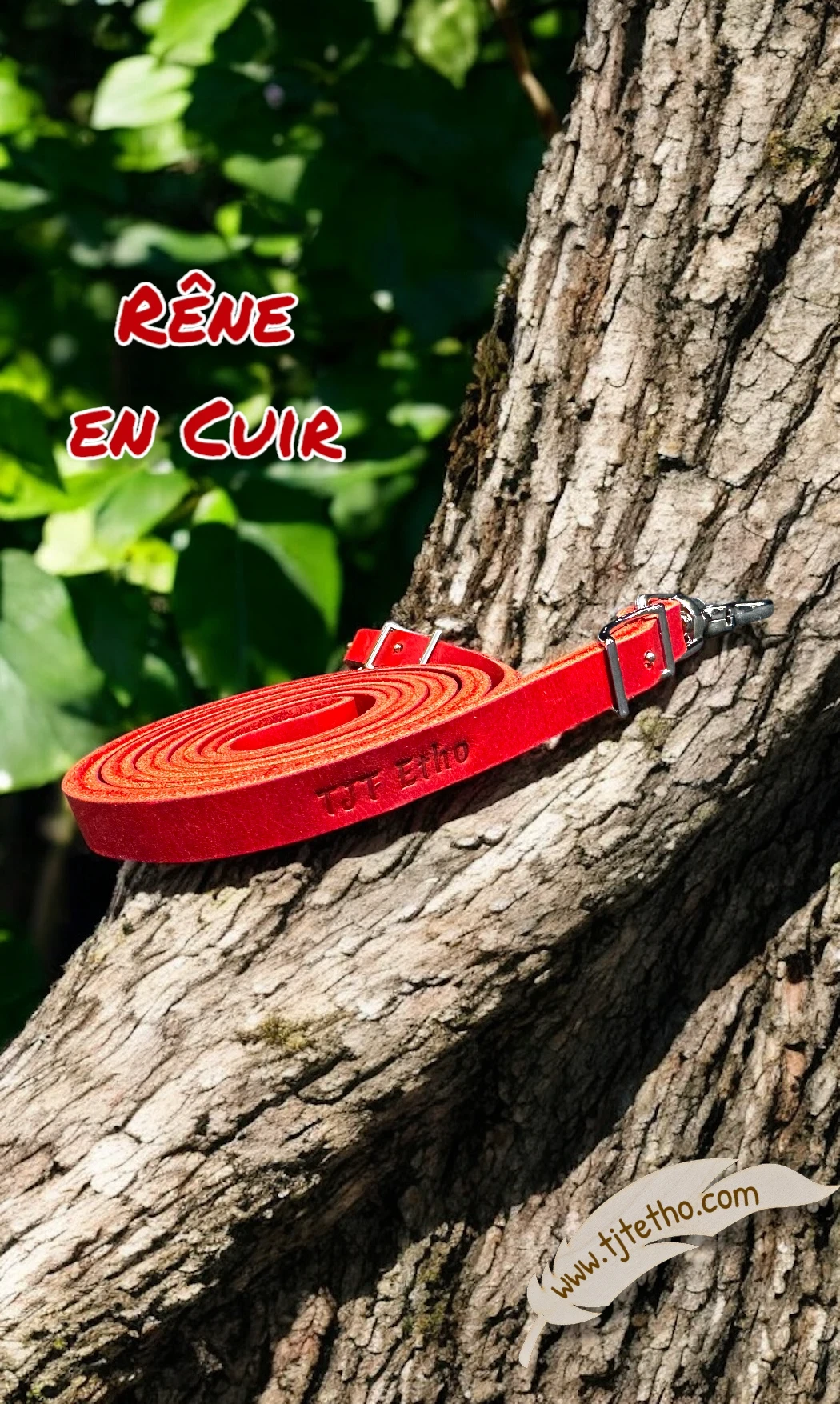 Rênes fermées cuir vachette huilé 3 à 4m