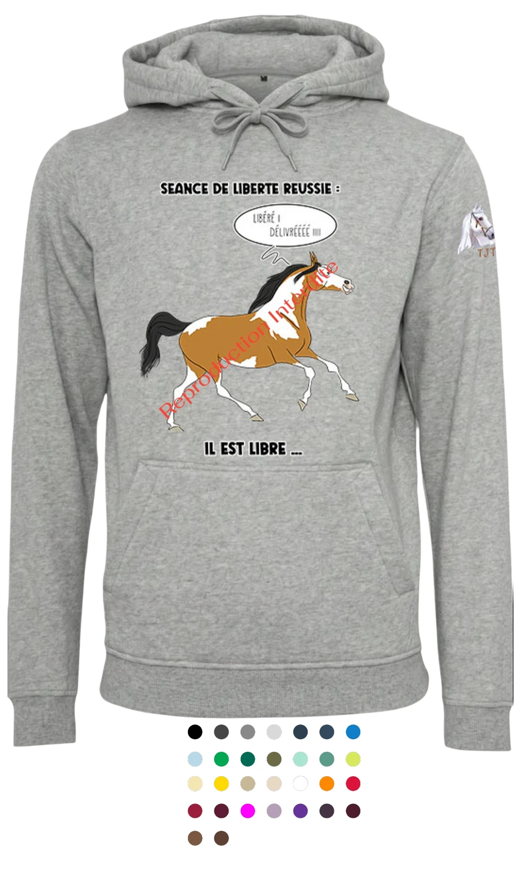 Sweat : Séance liberté réussie !