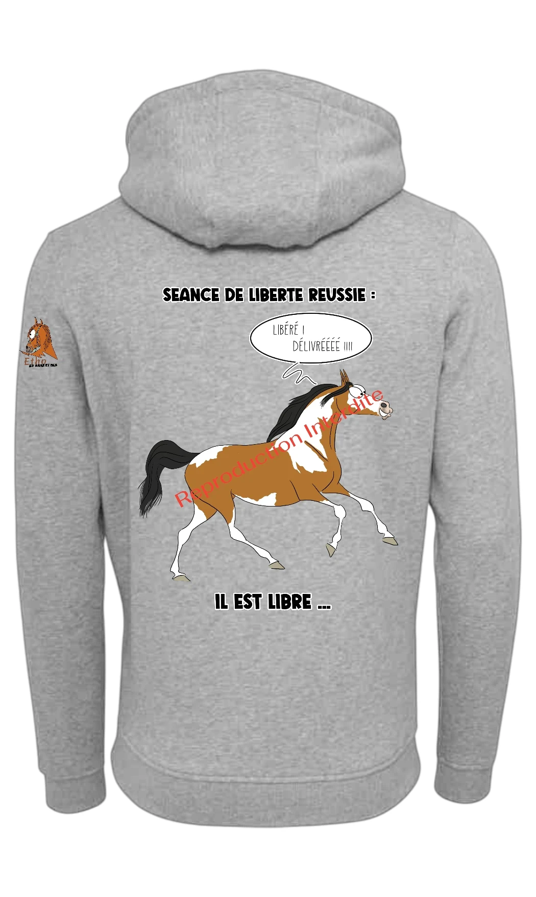 Sweat : Séance liberté réussie !