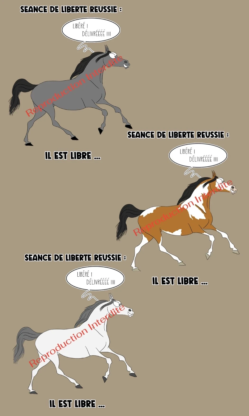 T-Shirt V : Séance de liberté !