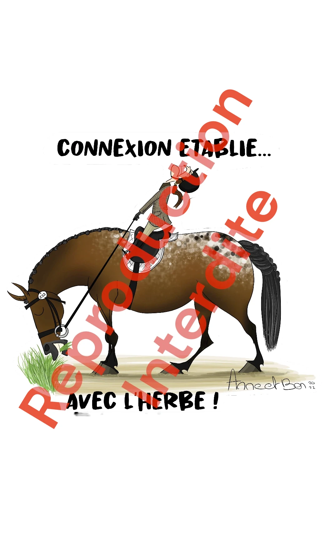 Polo : Connexion établie avec l'herbe !