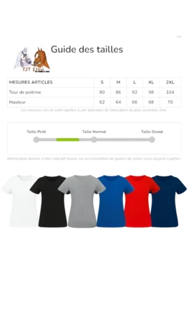 T-Shirt Alfred de Dreux