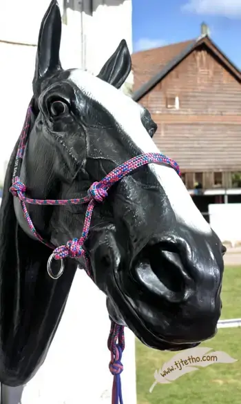 Licol Side déporté ND PRO