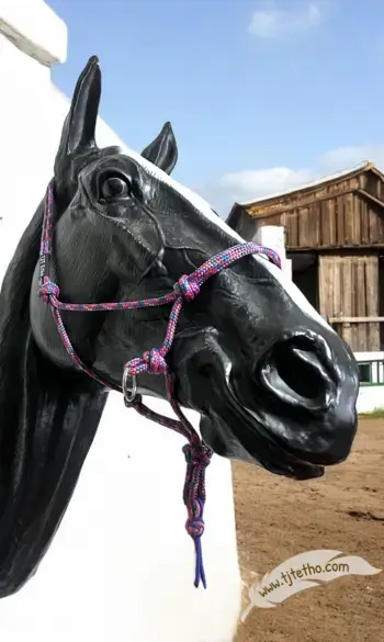 Licol Side déporté ND PRO