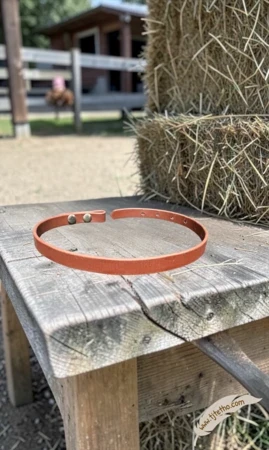 Pièce longue sous gorge