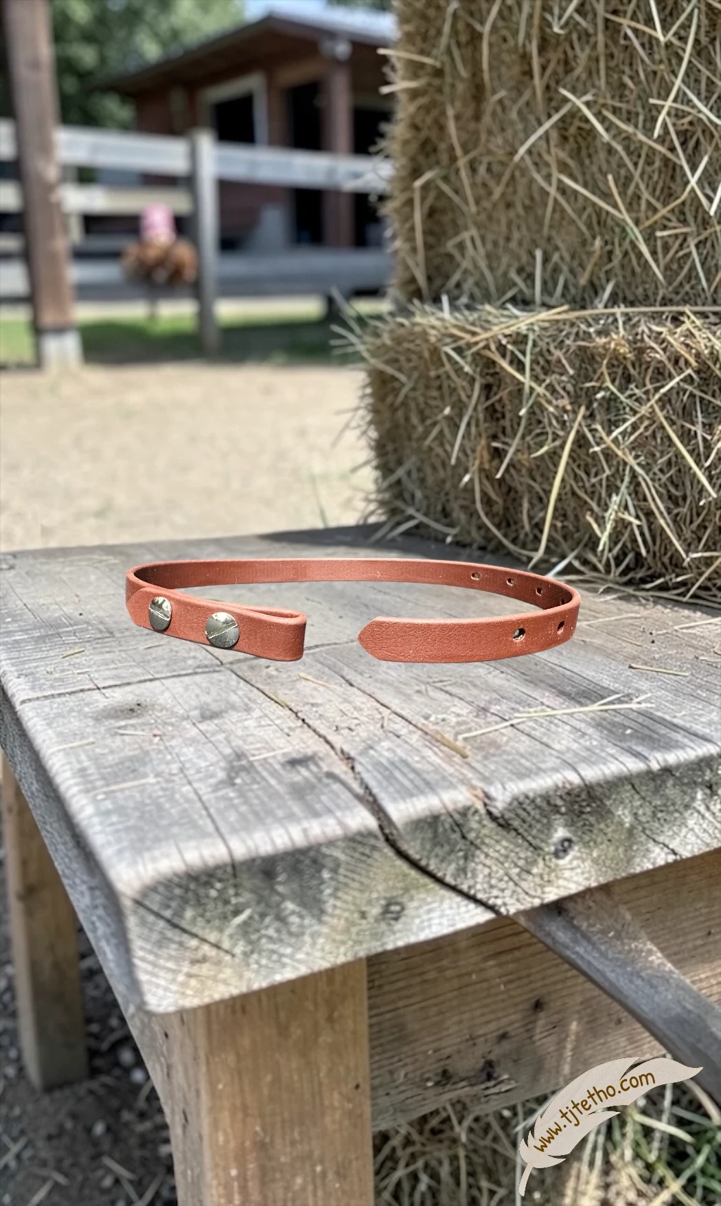 Pièce longue sous gorge