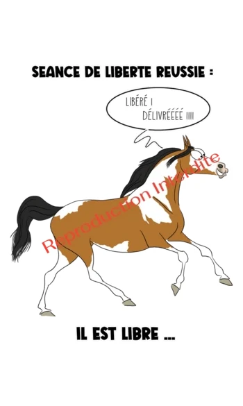 Séance de Liberté Réussie