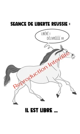 Séance de Liberté Réussie