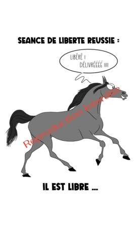Séance de Liberté Réussie