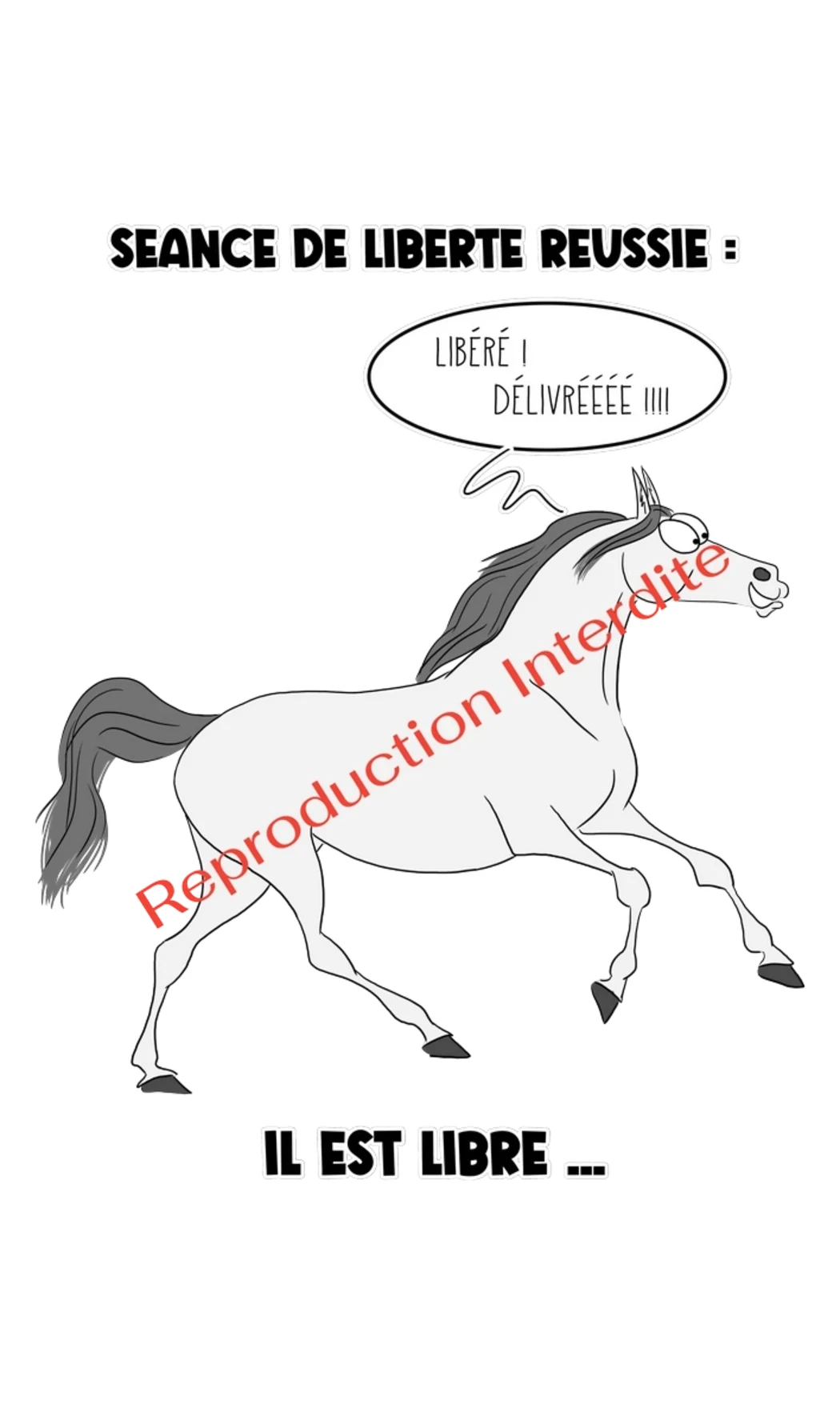 Séance de Liberté Réussie